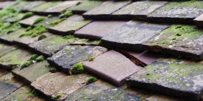 Benson roof repair costs